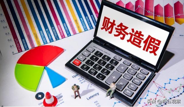 最新财务造假公司案例深度探究