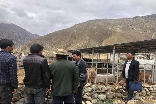 央巴村人事任命揭晓，开启村庄发展新篇章