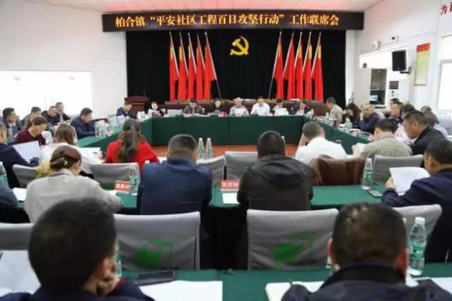 柏合镇最新新闻速递，当地新闻报道更新