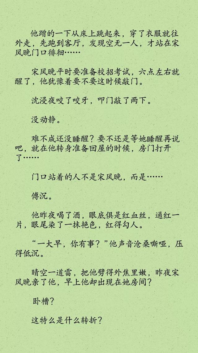 傅沉顾晚最新篇章深度探索