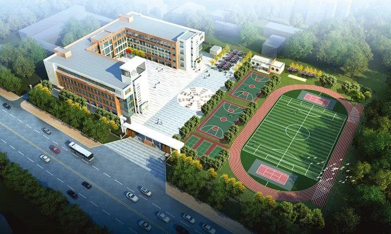 小学报名最新通知，启航未来教育的号角响起
