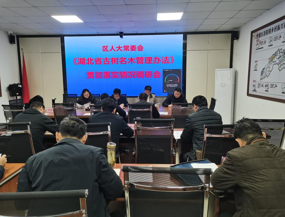 樊城区自然资源和规划局最新新闻动态发布