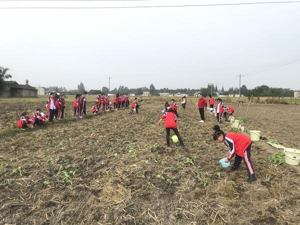 旌阳区人民政府办公室最新项目，引领区域发展，筑牢民生根基